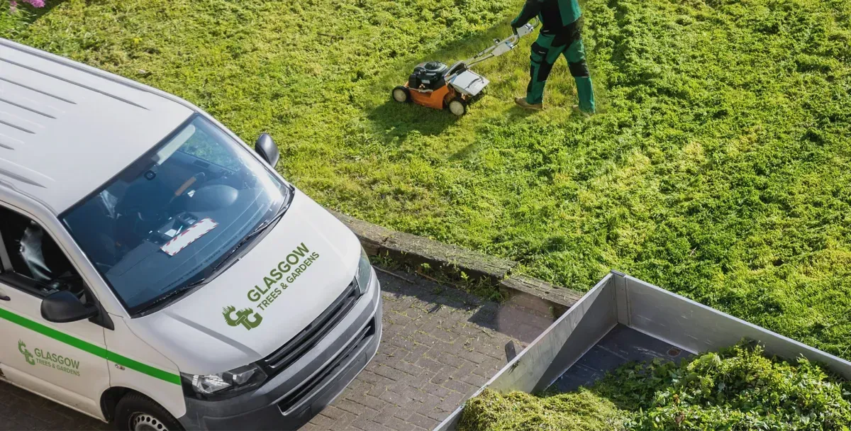 Glasgow Trees and Gardens tree surgery work